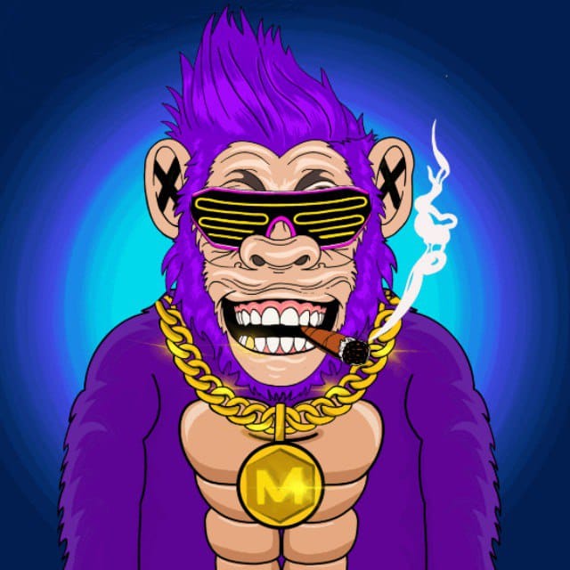 monkey